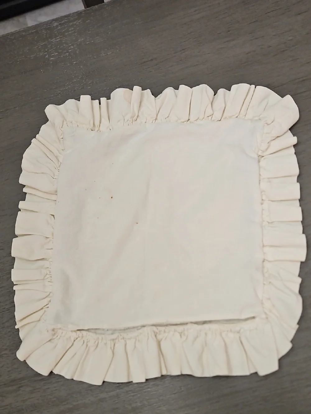 Hand Sewn And Needlepoint Pillow Case 14.5